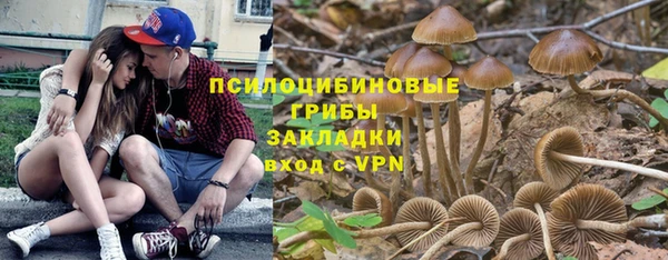 прущая мука Пестово