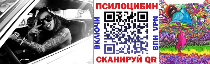 Галлюциногенные грибы Psilocybe Боровск